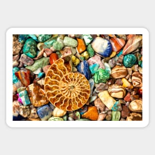 Fossilized Nautilus Shell On Polished Stones Sticker